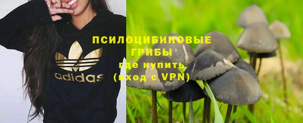 дмт Краснотурьинск