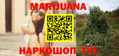 сатива Беслан