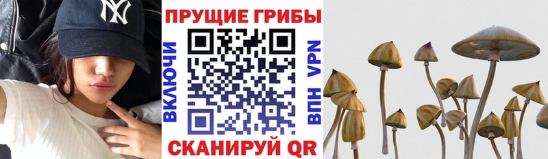 Псилоцибиновые грибы мухоморы Долгопрудный