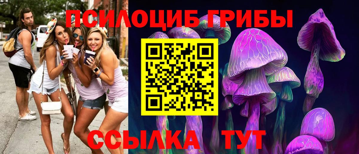 Галлюциногенные грибы Magic Shrooms  Вход с VPN  купить наркоту  Долгопрудный 